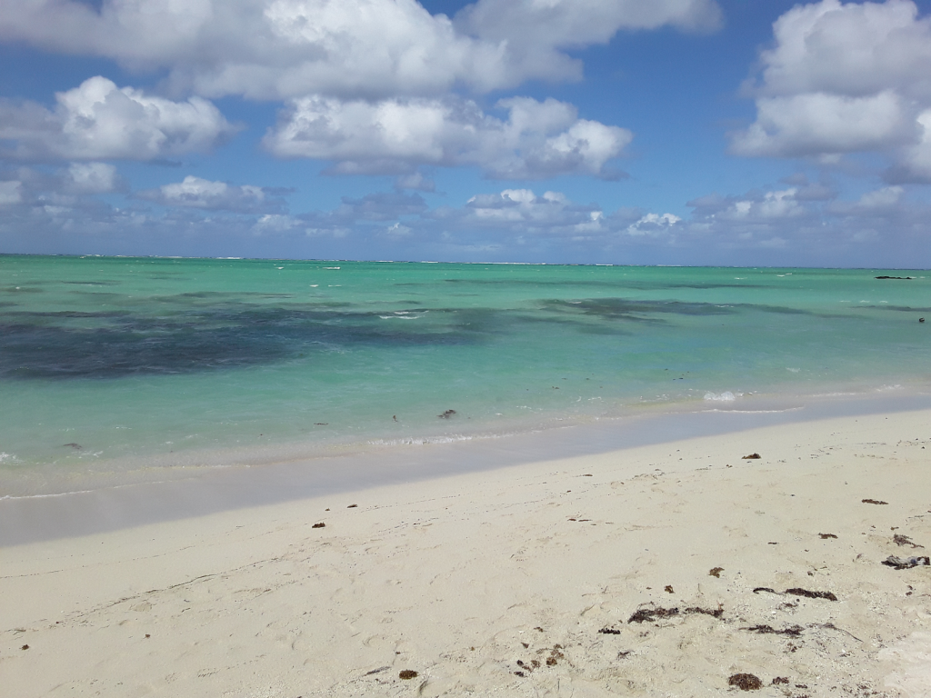 Caption: A pristine island beach on Mauritius. 