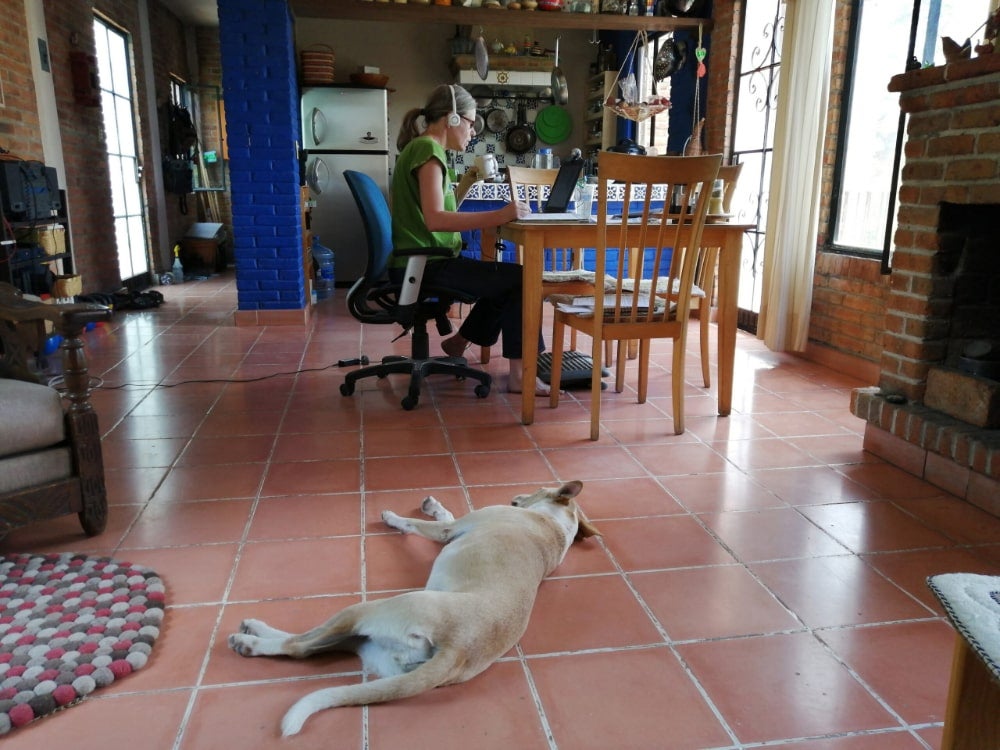 Specialist in her home workspace working with teachers in Mexico